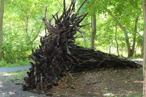 Mazzaroth is Alison Stigora's construction of burnt tree branches.
