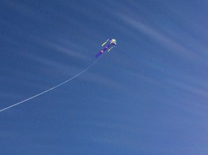 Our kite soared above Cape Cod beaches many times last year.
