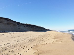 Atlantic Ocean shoreline. Eastham, Cape Cod.
