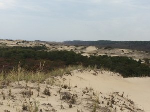 Parabolic sand dunes territory. Truro, Cape Cod.