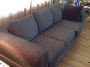 The sofa that Erratica eyed.