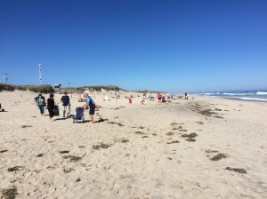 Nauset Beach. October 2016.