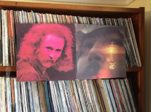 Outer cover of If I Could Only Remember My Name